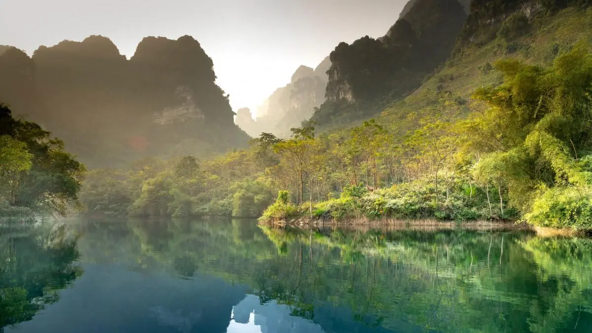 高效环保高性能